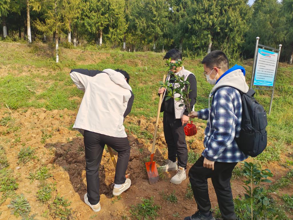太阳集团城网站2018
